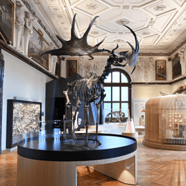 Wenen: ticket voor Natuurhistorisch Museum
