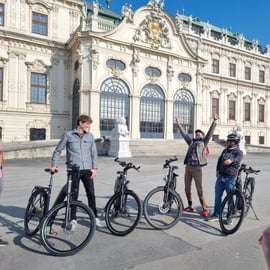Wenen: E-bike rondleiding met gids