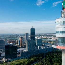 Wenen: voorrangsticket voor de Donau toren