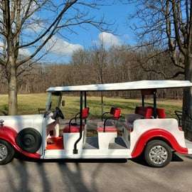 Wenen: Old Town Sightseeingtour in een Vintage-stijl E-Car