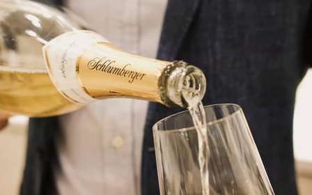 Wenen: Schlumberger wijnkelder rondleiding of zelfgeleide tour