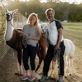 Mödling/Wenen: Panoramische wandeling met alpaca's en lama's
