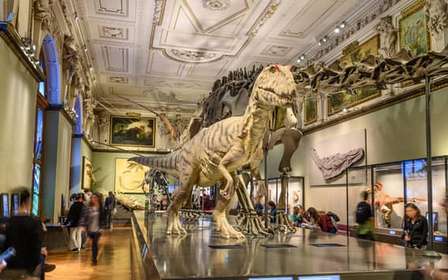Wenen: ticket voor Natuurhistorisch Museum