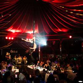 Mirage Wenen: Burlesque Spektakel - Dinnershow