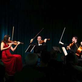 Wenen: Concert met klassieke meesters in het Haus der Musik