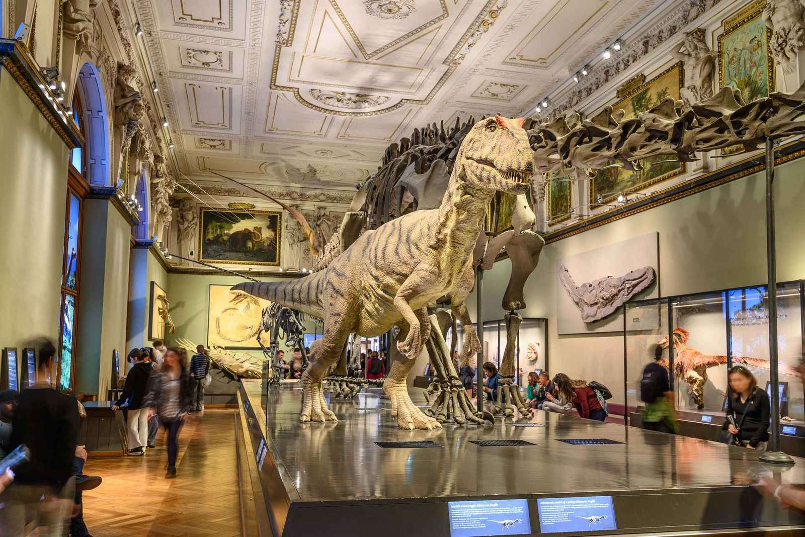 Wenen: ticket voor Natuurhistorisch Museum