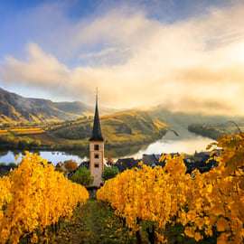 Vanuit Wenen: dagtour Wachau-vallei met wijnproeverij