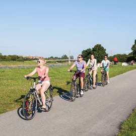 Wenen: Wijnproeverij E-Bike Tour