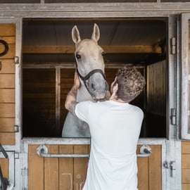 Wenen: Geheimen van de Fiaker & rit met de paardenkoets