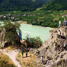 Druiven grazen: Wachau Valley Wijnmakerij Fietstocht