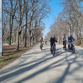 Wenen: E-bike rondleiding met gids