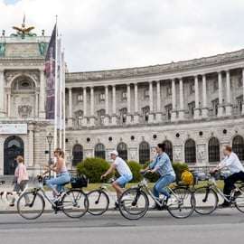 Wenen: Fietstour met gids