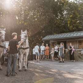 Wenen: Geheimen van de Fiaker & rit met de paardenkoets