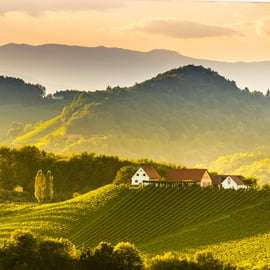 Vanuit Wenen: dagtour Wachau-vallei met wijnproeverij