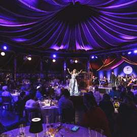 Wenen: Johann Strauss Dinnershow in het Prater
