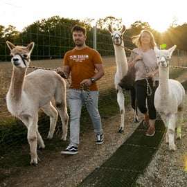 Mödling/Wenen: Panoramische wandeling met alpaca's en lama's
