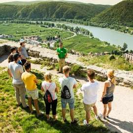 Druiven grazen: Wachau Valley Wijnmakerij Fietstocht