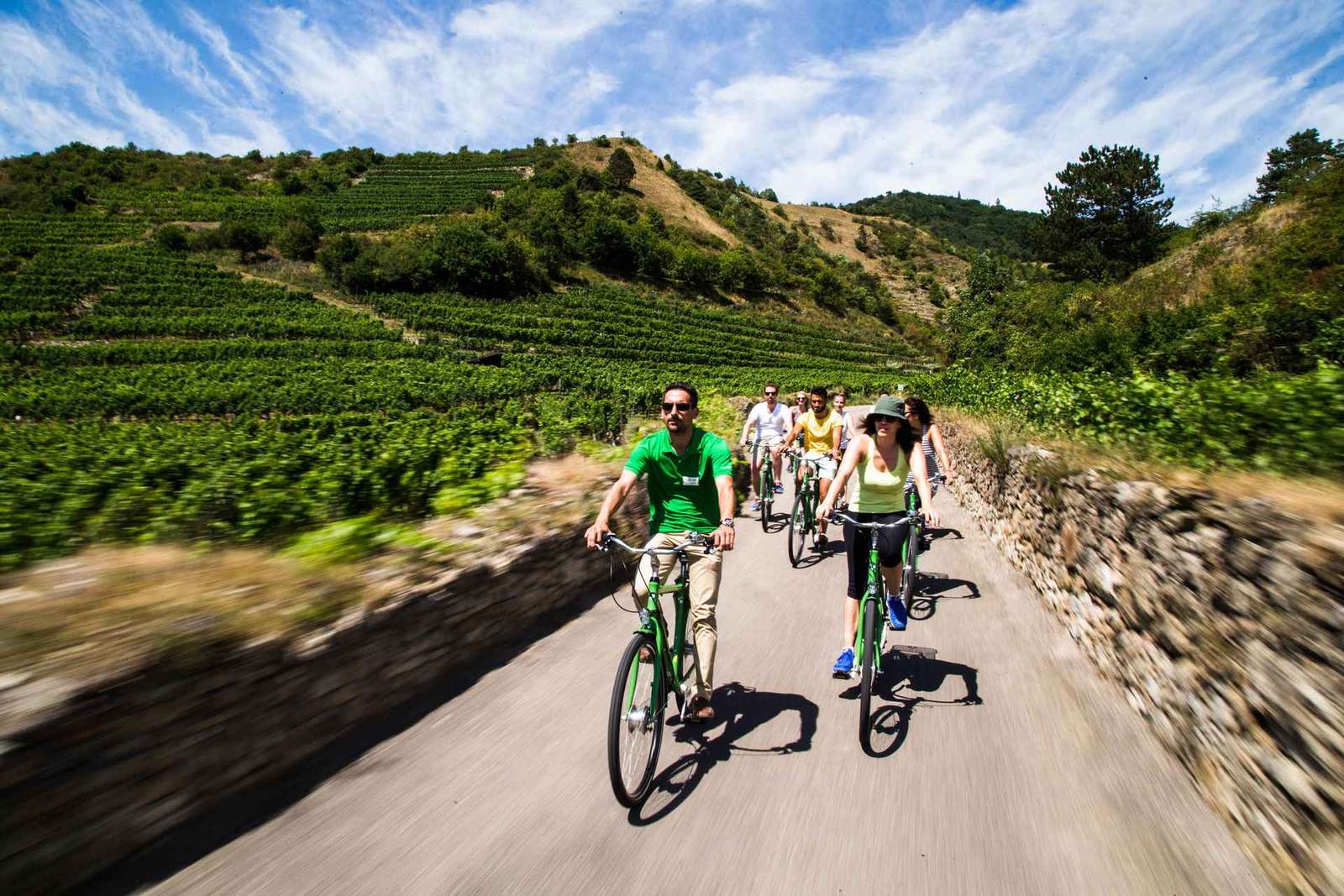 Druiven grazen: Wachau Valley Wijnmakerij Fietstocht