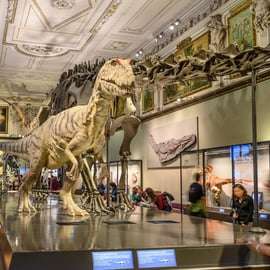 Wenen: ticket voor Natuurhistorisch Museum