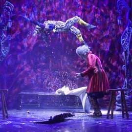 Magic World ● Magic Variety Show