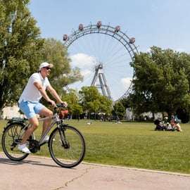 Wenen: Fietstour met gids