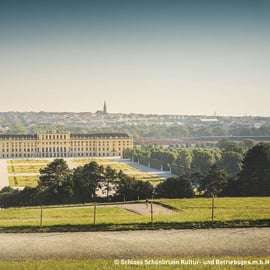 Wenen: Skip the Line Paleis Schönbrunn & panoramische trein