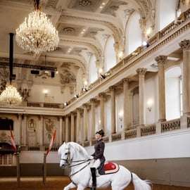 Uitvoering van de lipizzaner bij de Spaanse Rijschool