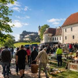 Vanuit Wenen: rondleiding door Bratislava en de sprookjeskastelen van Slowakije