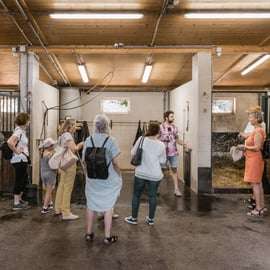 Wenen: Geheimen van de Fiaker & rit met de paardenkoets