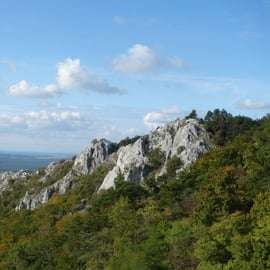 Vanuit Wenen: Bratislava & platteland begeleide halfdaagse tour