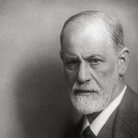 Wenen: Sigmund Freud Museum Ticket