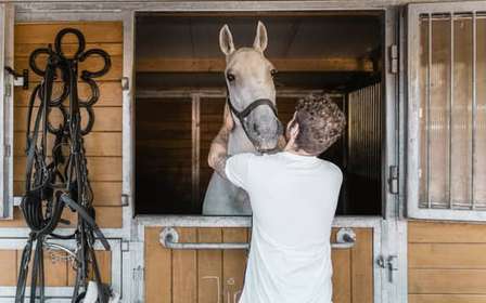 Wenen: Geheimen van de Fiaker & rit met de paardenkoets