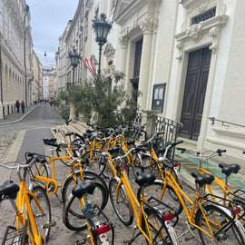 Wenen: fietstocht met hoogtepunten van de stad