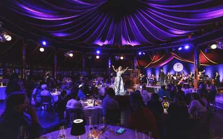 Wenen: Johann Strauss Dinnershow in het Prater