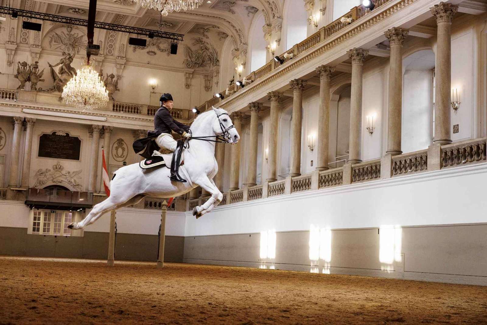 Uitvoering van de lipizzaner bij de Spaanse Rijschool