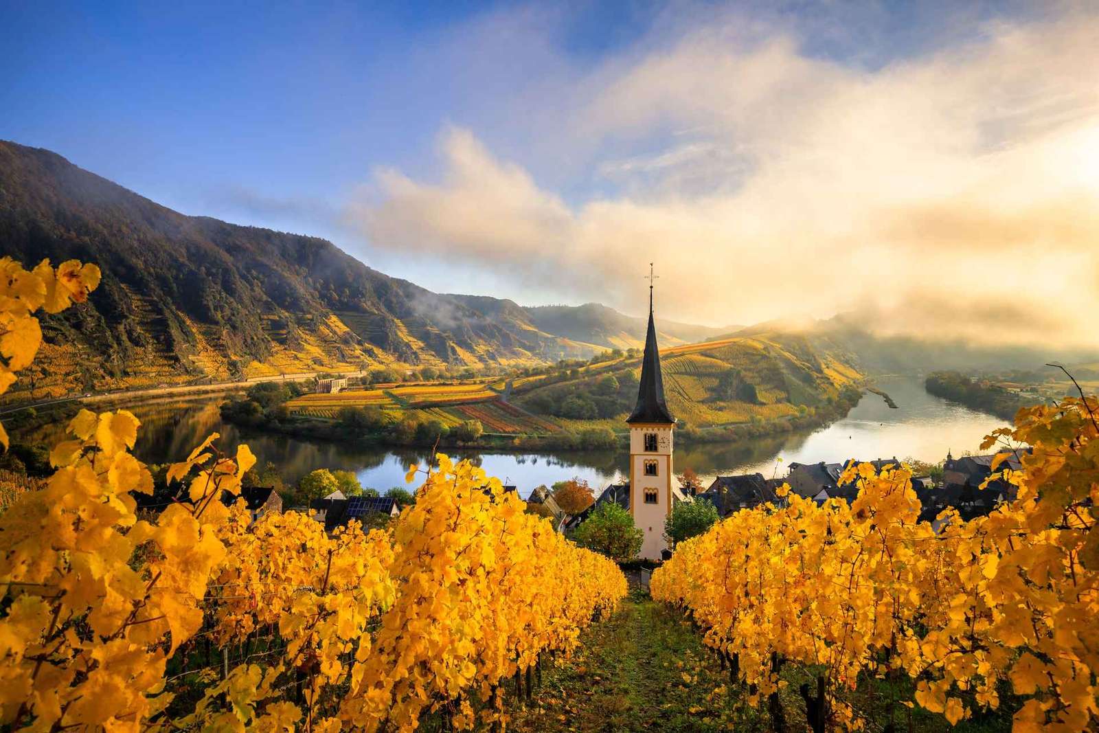 Vanuit Wenen: dagtour Wachau-vallei met wijnproeverij