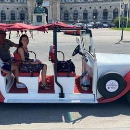 Wenen: Sightseeingtour in een klassieke auto 90 min E/T